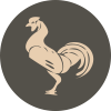 Beige rooster